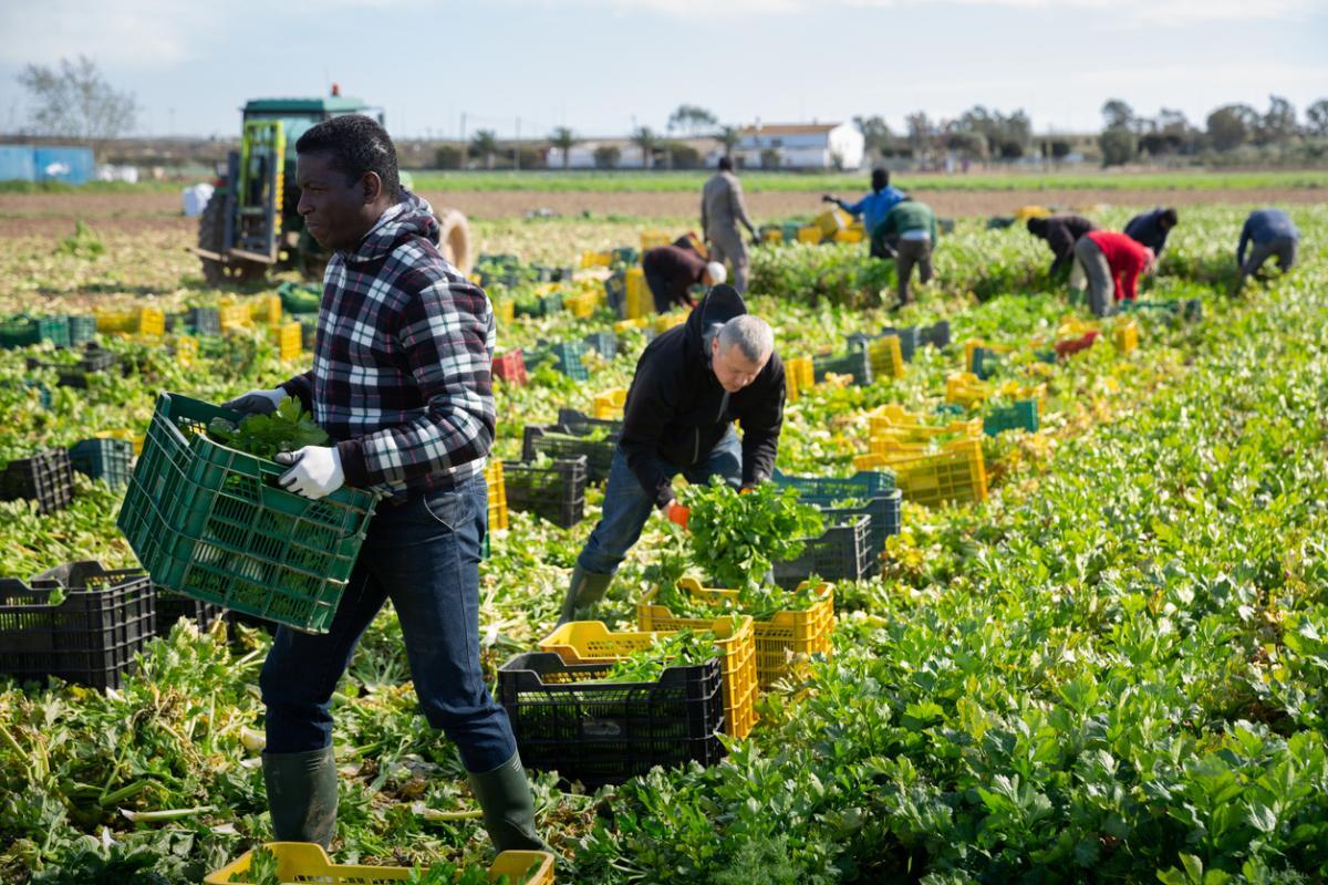 Are Oklahoma Farm Workers Covered by Workers' Compensation?